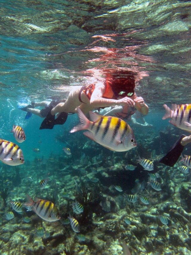  所以看起来很简单